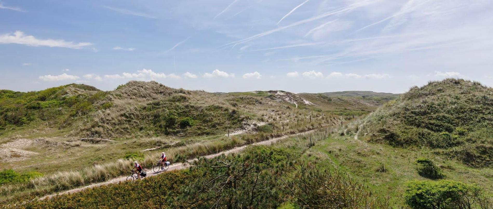 Villa Parnassia Bergen aan Zee Eksteriør billede